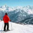 auli joshimath skiing tour