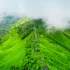 coorg wayanad nature tour