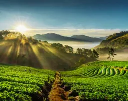 coorg