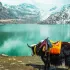 darjeeling gangtok delight tour