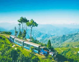 darjeeling