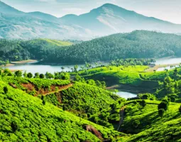 munnar