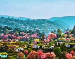 shillong