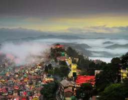 shimla
