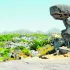 udaipur mount abu heritage tour