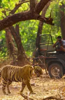 jim corbett tour