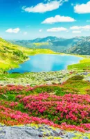 valley of flowers tour