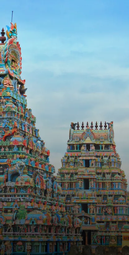 tamil nadu