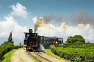 darjeeling pelling tour