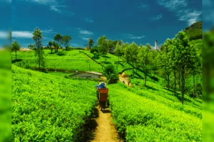 eastern triangle tour package