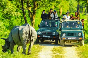 kaziranga meghalaya tour